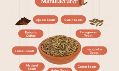 Welcome to Bhoomi Food and Spices Industry – India's Trusted Manufacturer & Exporter of Premium Agro Products