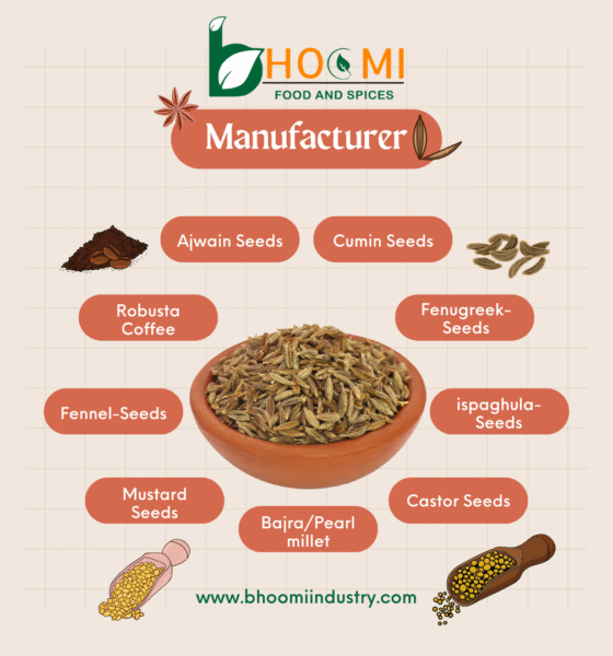 Welcome to Bhoomi Food and Spices Industry – India's Trusted Manufacturer & Exporter of Premium Agro Products