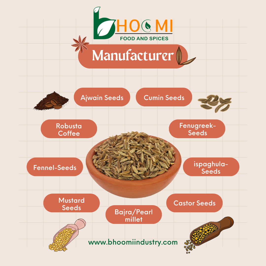Welcome to Bhoomi Food and Spices Industry – India's Trusted Manufacturer & Exporter of Premium Agro Products
